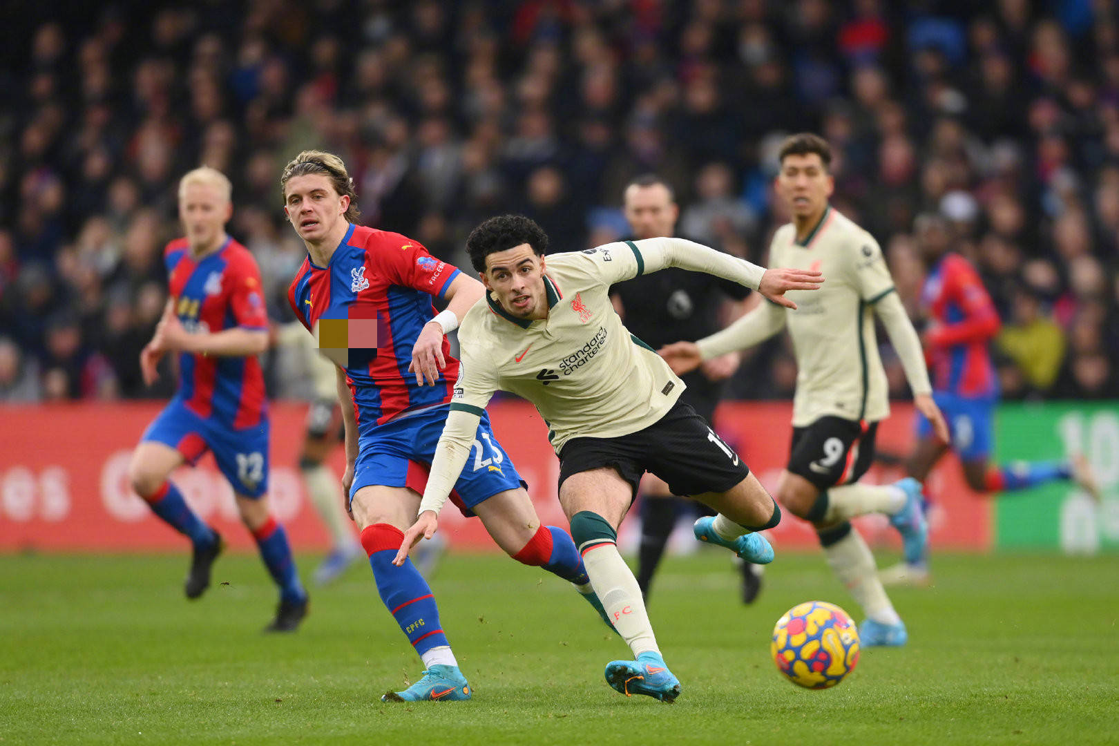 得居莱尔在 得居莱尔在